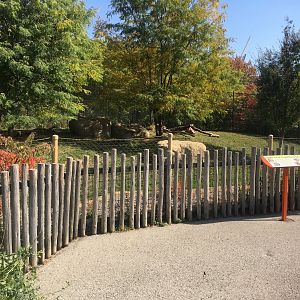 Plains - Cheetah Exhibit