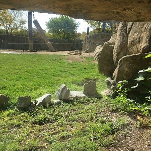 Plains - African Elephant Exhibit Glass Viewing