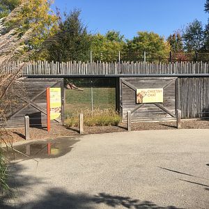 Plains - Cheetah Chat Area