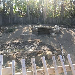 Plains - Newly Renovated Warthog/Cape Porcupine Exhibit