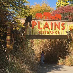 Plains - New! Entrance