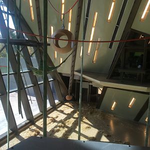 Indoor Orangutan Exhibit