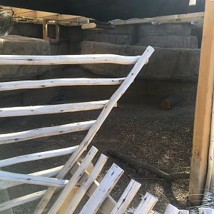 Plains - Warthog/Cape Porcupine Indoor Exhibit