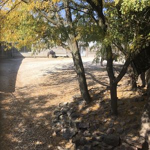 Plains - Offset Area for Savanna Animals