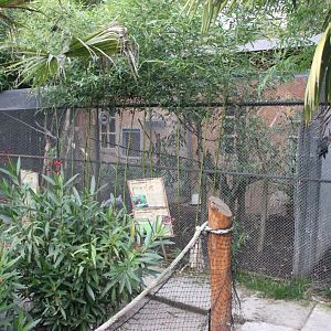Parrot + Pheasant aviaries