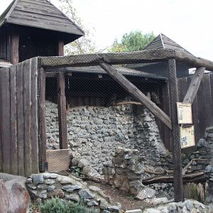 Eurasian eagle owl aviary