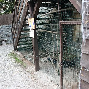 Edward's pheasant aviary