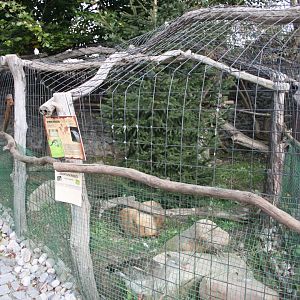 Red-legged seriema aviary
