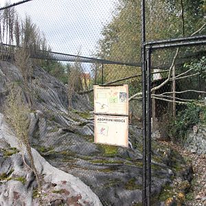 Red-footed falcon aviary