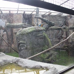 Macaw aviary