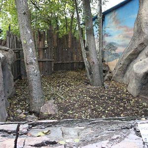 Porcupine exhibit