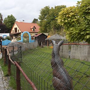 Red-necked wallaby exhibit
