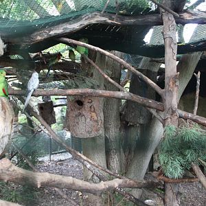 Australian aviary