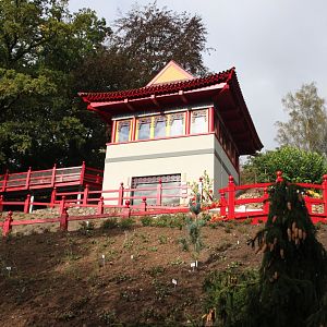 Goldfish house - general look