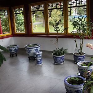 Goldfish house - indoors