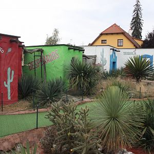 Mexico section - general look