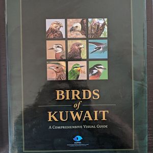 Birds of Kuwait