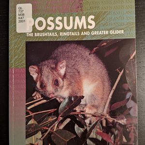 Possums: The Brushtails, Ringtails, and Greater glider