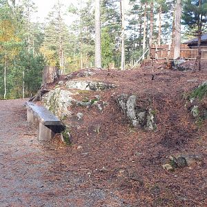 Walk-trough Grey Kangaroo/Red-necked wallaby enclosure