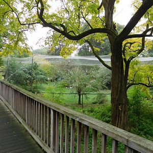 Walking bridge and aviary