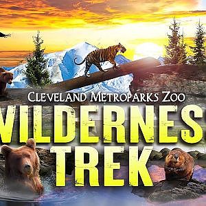 The Wilderness Trek | Zoo Tours