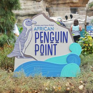 Oct. 2020 - New! African Penguin Point (4 Species)