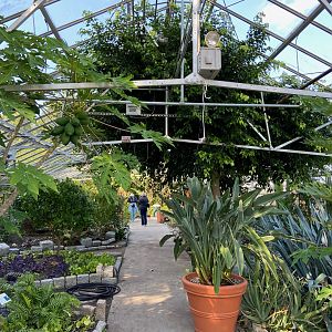 Roger Williams Park Zoo - Botanical Gardens