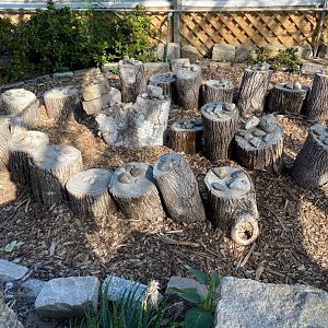 Roger Williams Park Zoo - Botanical Gardens