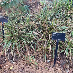 Roger Williams Park Zoo - Botanical Gardens