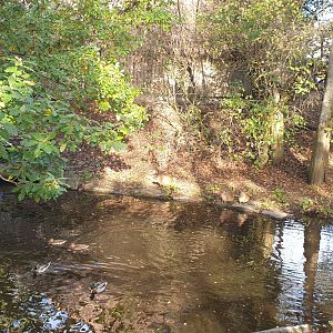 Capibara/Lowland Tapir exhibit