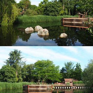 Australian area pond, 2020-06-12