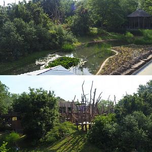 Bonobo island, 2020-06-12