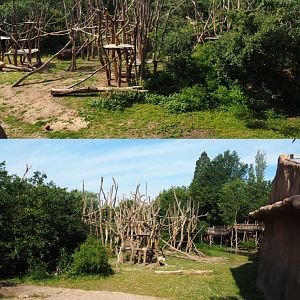 Bonobo island, 2020-06-12