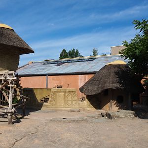 Banded mongoose exhibit and Bonobo house, 2020-06-12