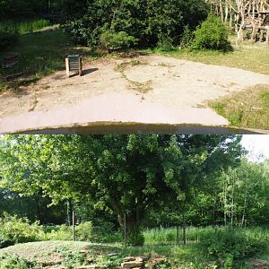 Bonobo island, 2020-06-12