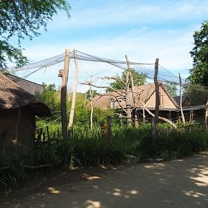 Black lemur and Ring-tailed lemur walk-through exhibit, 2020-06-12