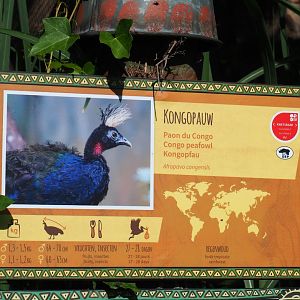 Congo peafowl signage, 2020-06-12