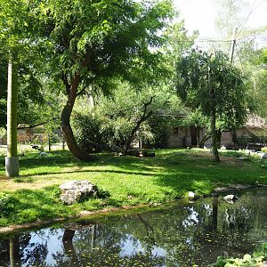 African waterfront aviary, 2020-06-12