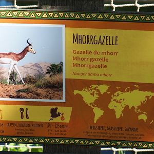 Signage Mhorr gazelle, 2020-06-12