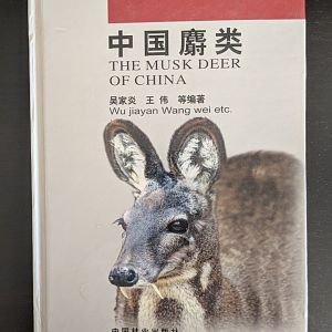 The Musk Deer of China