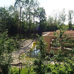 Barbary macaque exhibit and Moroccon pavilion, 2020-06-12