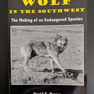 Wolf in the Southwest The Making of an Endangered Species