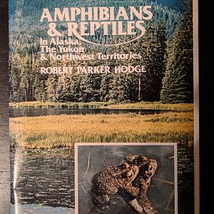 Amphibians & Reptiles in Alaska, The Yukon, and Northwest Territories