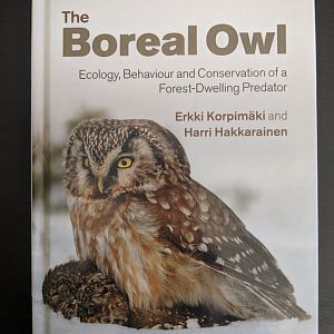 The Boreal Owl Ecology, Behavior, and Conservation of Forest Dwelling Predator