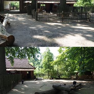 First and second domestic animal paddocks - Former petting zoo, 2020-06-12