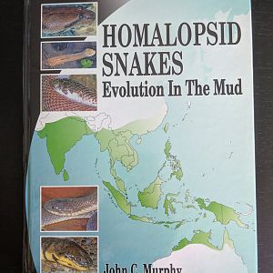 Homalopsid Snakes Evolution in the Mud
