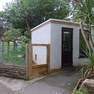 Cusimanse enclosure 070920