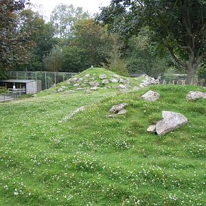 Visayan spotted deer enclosure 070920