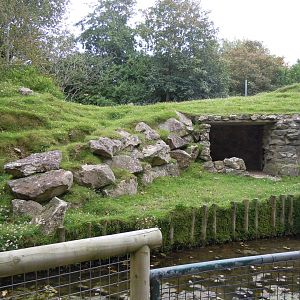 Visayan spotted deer enclosure 070920