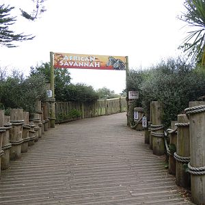 Walkway to African Savannah 070920